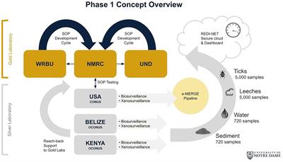 The Remote Emerging Disease Intelligence—NETwork